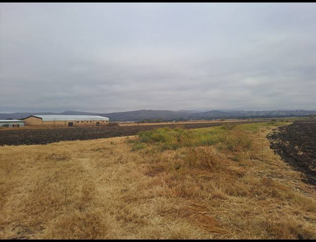 10.30HA FARM FOR SALE IN WATERKLOOF AH